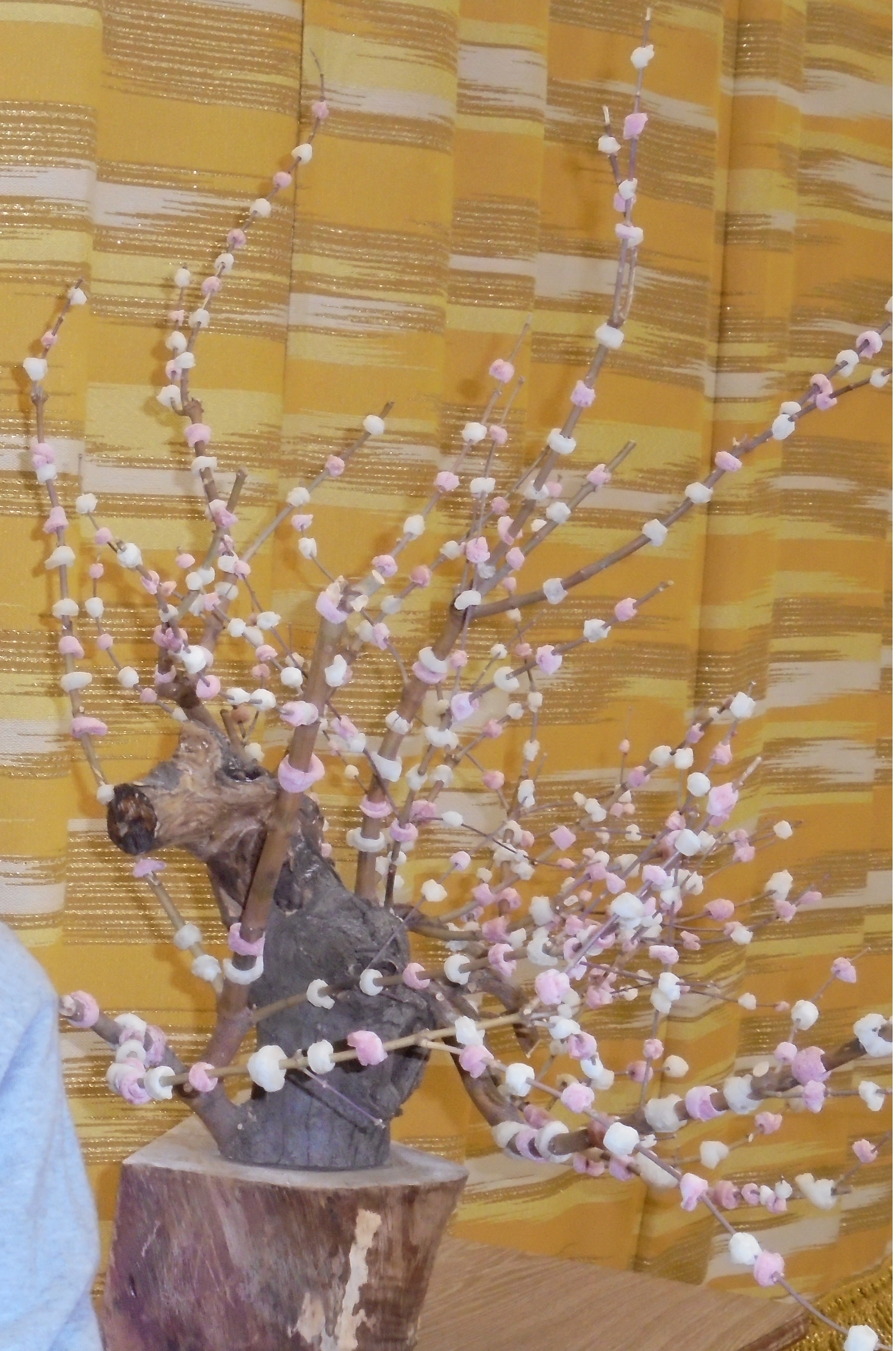 はなもち