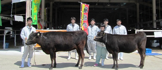 動物研究部