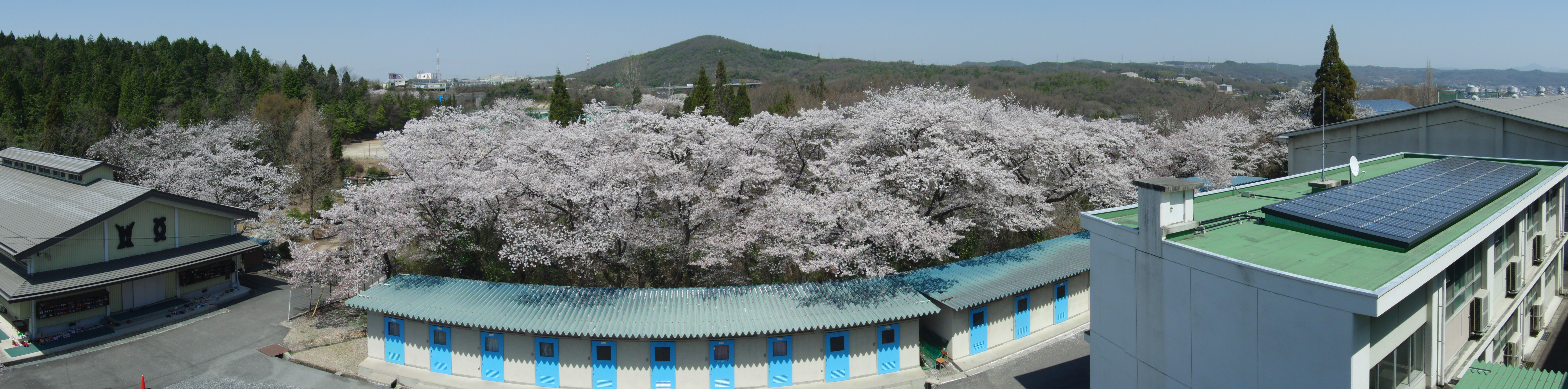 岐阜県立土岐商業高等学校 土岐商パノラマ写真
