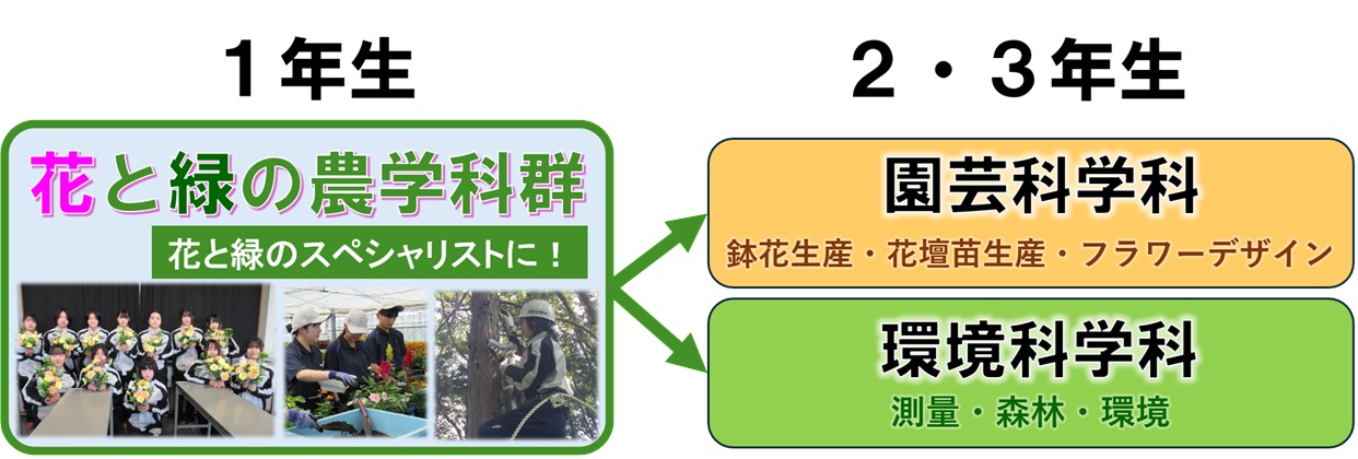 花と緑のno群