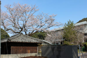 岐阜県立東濃高等学校 | ここは、多様な文化が交わり、新しい価値が