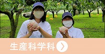 生産科学科