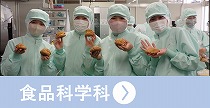 食品科学科