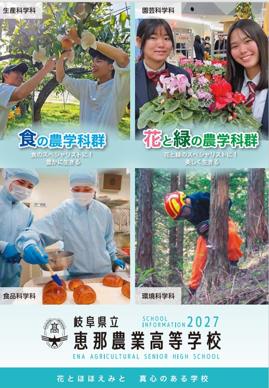 学校案内パンフレット