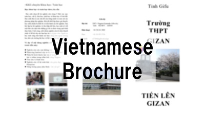 VietnameseBrochure