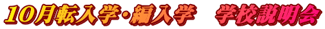 PO]wEғw@wZ