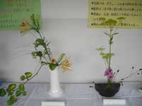kadou