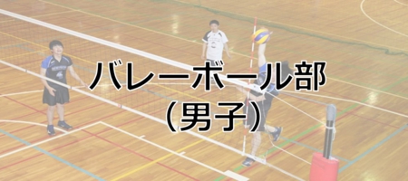 06_volleyball_m.jpg