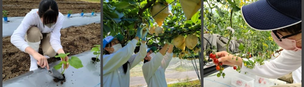 岐阜県立恵那農業高等学校